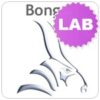 Bongo 2 Lab