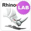Rhino 8 for Windows and Mac (Lab)